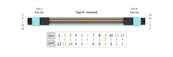 Polarity Type-B