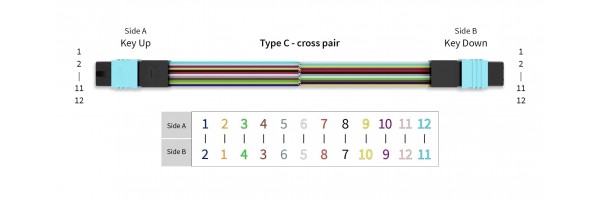Polarity Type-C