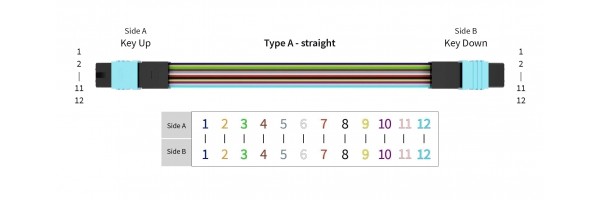 Polarity Type-A