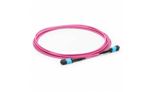 JTOPTICS 12 Fiber Mtp MM Trunk Cable, 12f Mtp Female Mtp Female Om4 Patch Cord, Low Loss OFNP (Plenum) Cable, Om4 Multimode, Pink, Polarity B