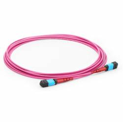 JTOPTICS 24 Fiber Mtp MM Trunk Cable, 24f Mtp Female Mtp Female Om4 Patch Cord, Low Loss OFNP (Plenum) Cable, Om4 Multimode, Pink, Polarity A