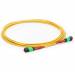 24f Mpo Female Mpo Female Sm Patch Cord, Low Loss OFNR (Riser) 24 Fiber Mpo Trunk Cable, G.657A1 Single Mode, Yellow, Polarity A, For Cxp Cfp 100g Transceiver JTMPS224MOSFMOSFXX MPO Cable Assembly