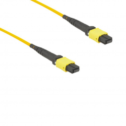 12 Fiber Sm Mtp® Trunk Cable 12F Mtp®-F To 12F Mtp®-F Sm Patch Cord Low Loss Ofnr G.657A1 Single Mode Cable Polarity B