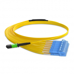 24 Fiber Single Mode Mpo Lc Breakout Cable 24F Mpo Female To 12Xlc Duplex Patch Cable Low Loss Ofnr (Riser) G.657A1 Polarity A