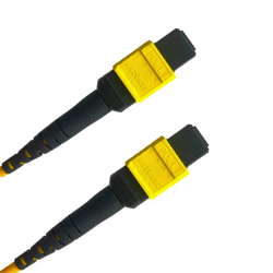 24 Fiber Sm Mtp® Trunk Cable 24F Mtp®-F To 24F Mtp®-F Sm Patch Cord Low Loss Ofnr G.657A1 Single Mode Cable Polarity A