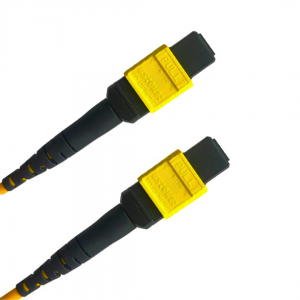 24 Fiber Sm Mtp® Trunk Cable 24F Mtp®-F To 24F Mtp®-F Sm Patch Cord Low Loss Ofnr G.657A1 Single Mode Cable Polarity A