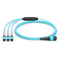 24 Fiber Multimode Om3 Breakout Mpo Trunk Cable 24F Mpo (F) to 3 x 8F Mpo (F) Om3 Distribution Cable