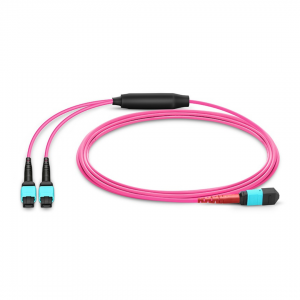 24 Fiber Multimode Om4 Breakout Mpo Trunk Cable 24F Mpo (F) to 2 x 12F Mpo (F) Om4 Distribution Cable