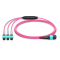 24 Fiber Multimode Om4 Breakout Mpo Trunk Cable 24F Mpo (F) to 3 x 8F Mpo (F) Om4 Distribution Cable