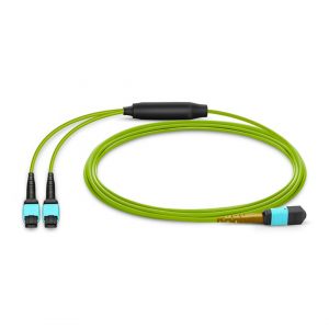24 Fiber Multimode Om5 Breakout Mpo Trunk Cable 24F Mpo (F) to 2 x 12F Mpo (F) Om5 Distribution Cable