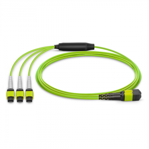 24 Fiber Multimode Om5 Breakout Mpo Trunk Cable 24F Mpo (F) to 3 x 8F Mpo (F) Om5 Distribution Cable