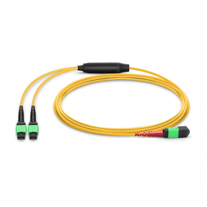 24 Fiber Single Mode Breakout Mpo Trunk Cable 24F Mpo (F) to 2 x 12F Mpo (F) Os2 Distribution Cable