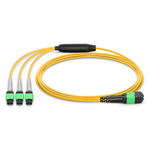 24 Fiber Single Mode Breakout Mpo Trunk Cable 24F Mpo (F) to 3 x 8F Mpo (F) Os2 Distribution Cable