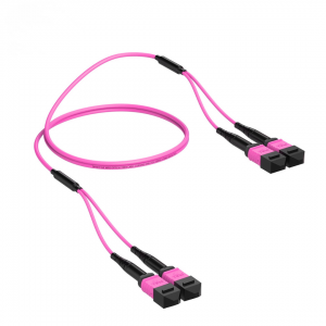 24 Fiber Multimode Om4 Breakout Mpo Trunk Cable 2 x 12F Mpo (F) to 2 x 12F Mpo (F) Om4 Distribution Cable