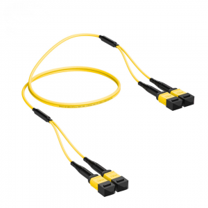 24 Fiber Single Mode Breakout Mpo Trunk Cable 2x12 F Mpo (F) to 2 x 12F Mpo (F) Os2 Distribution Cable