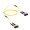 24 Fiber Single Mode Breakout Mpo Trunk Cable 2x12 F Mpo (F) to 2 x 12F Mpo (F) Os2 Distribution Cable