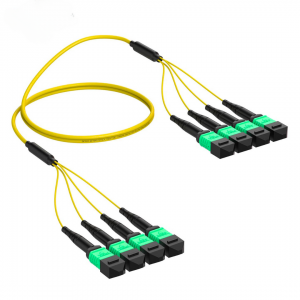 48 Fiber Single Mode Breakout Mpo Trunk Cable 4 x 12F Mpo (F) to 4 x 12F Mpo (F) Os2 Distribution Cable