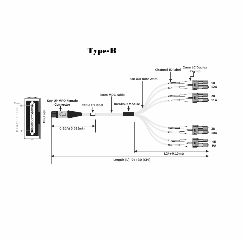 12 Fiber Mpo To Lc Multimode Om3 Breakout Cable I JTOPTICS