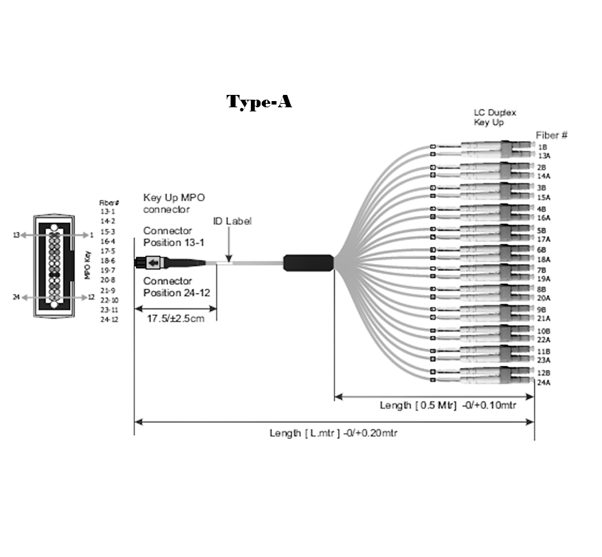 mtp female to 12 lc upc duplex 24 fibers om4 50/125 multimode trunk