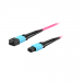 12 Fiber Mpo Trunk Cable Mpo Female Mpo Female Push-Pull Om4 Multimode Pink Color Cable