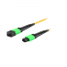 JTOPTICS 12 Fiber Mpo SM Trunk Cable, 12f Mpo Female to Mpo Female Sm Patch Cable, Low Loss OFNR (Riser) G.657A1 Single Mode, Yellow, Polarity B